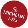 michelin23-100